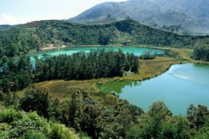 PAKET TERKINI JOGJA DIENG 4 HARI 3 MALAM