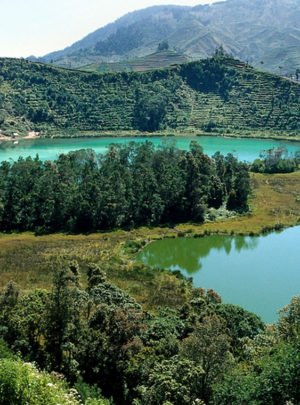 PAKET TERKINI JOGJA DIENG 4 HARI 3 MALAM