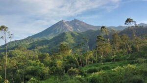 wisata gunung api yogyakarta